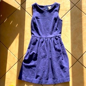 J Crew - Indigo Dress - Professional